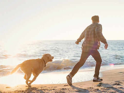 Bărbat și câine alergând pe plajă