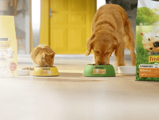 Cele 5 Promisiuni Friskies® | Purina