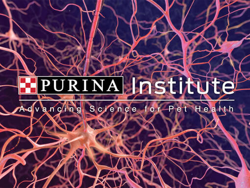 Logo-ul institutului Purina