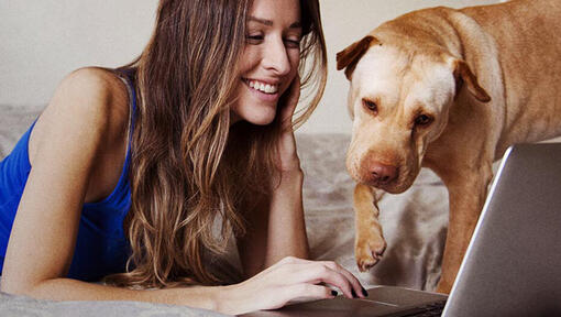 Femeie și câine la laptop