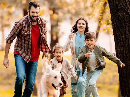 Familie cu labrador în parc