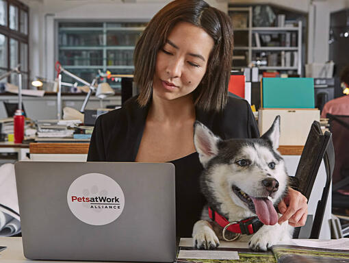 Femeie care lucrează la laptop cu Husky
