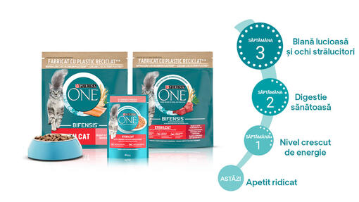 purina one