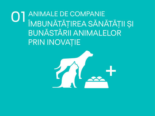 icon animale de companie inbunatatirea sanatatii si bunastarii animalelor prin inovatie