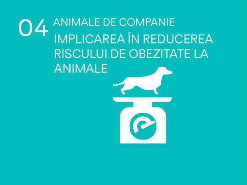 icon animale de companie implicarea in reducerea riscului de obezitate la animale