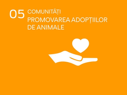 icon comunitati promovarea adoptiilor de animale