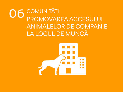 icon comunitati promovarea accesului animalelor de companie la locul de munca	