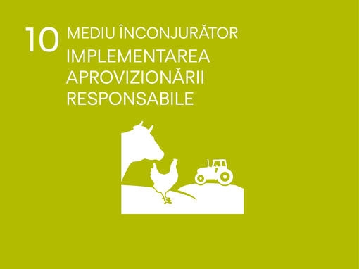 icon mediu inconjurator implementarea aprovizionarii responsabile