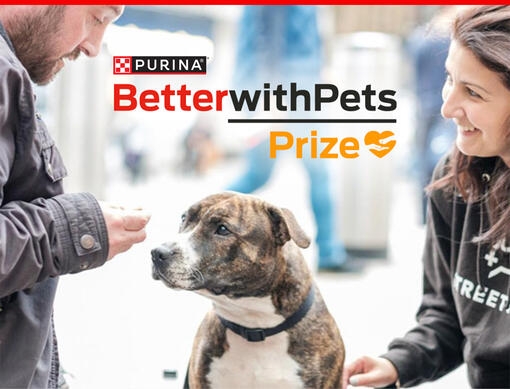 Câștigătorul premiului Better with Pets de la Purina