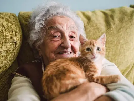 femeie în vârstă cu o pisică