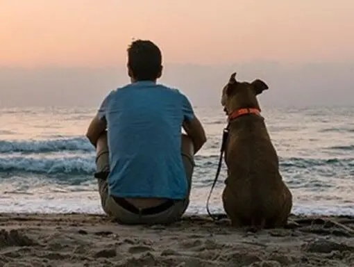  Bărbat și câinele său stând pe o plajă