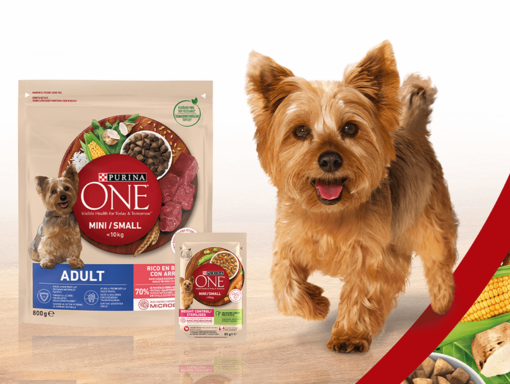Purina one caine terrier
