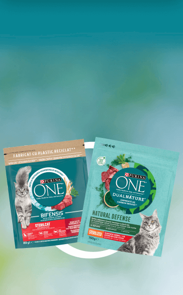 purina one