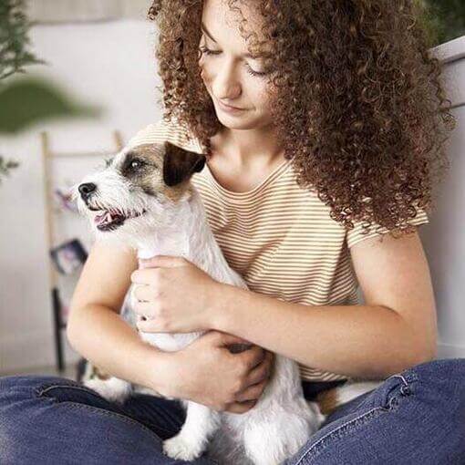Un Jack Russel in bratele stapanei sale