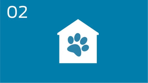 icon turcoaz casa pentru pisici cu o labuta alba pe casa