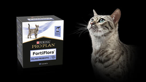 FortiFlora
