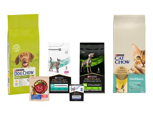 Purina Chow