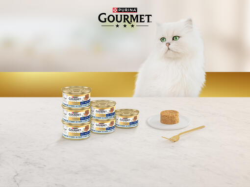 Gourmet Gold