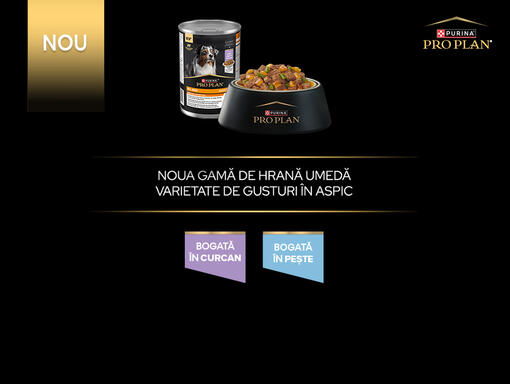 Banner Pro Plan conserve