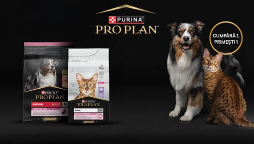 purina