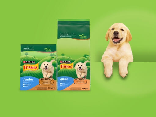 friskies