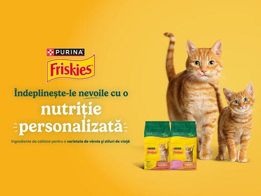 friskies dog