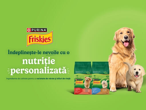 friskies dog