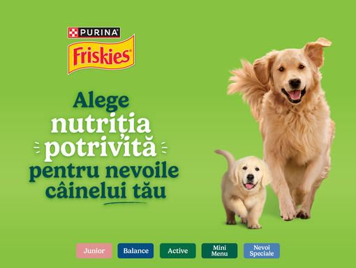 friskies dog
