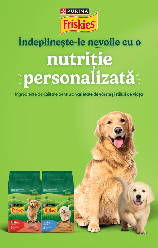 friskies dog