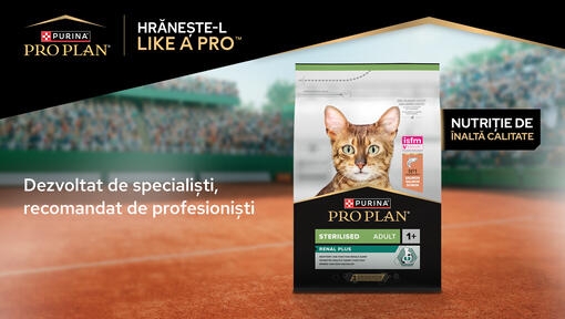 pro plan