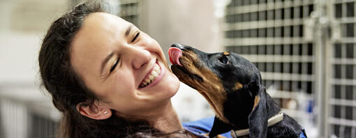 Caine la vaccin in cabinetul veterinar