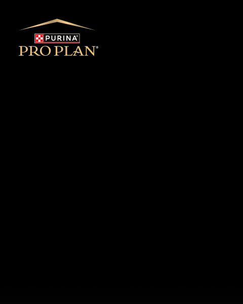 pro plan like a pro