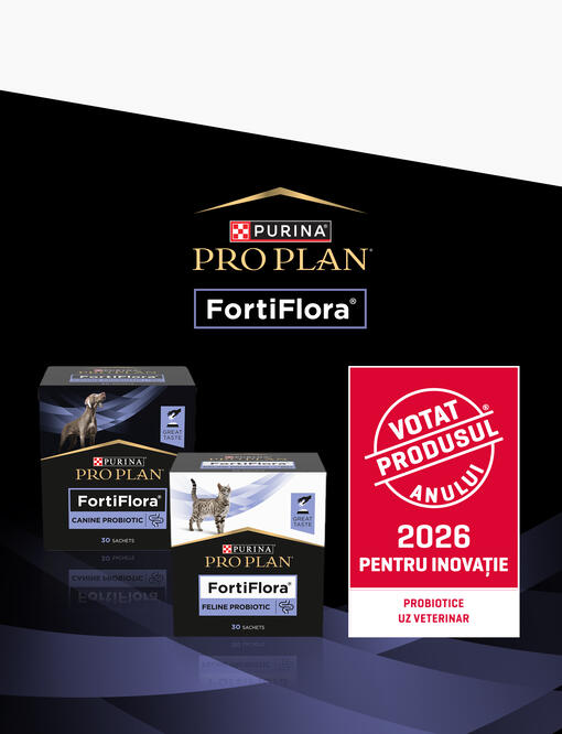 Pro Plan FortiFlora