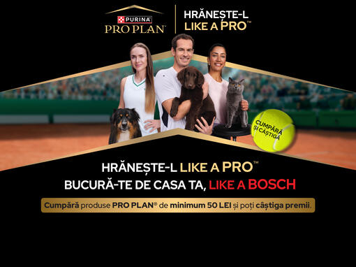 PRO PLAN