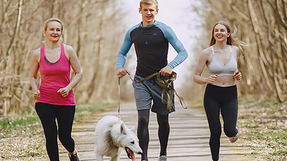 4 jocuri si exercitii fizice pentru cainele tau 4 jocuri și exerciții fizice pentru câinele tău