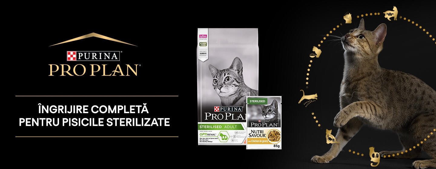 Purina se implica hero Purina se implica hero