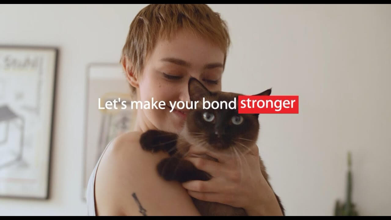 Let's make your bond stronger