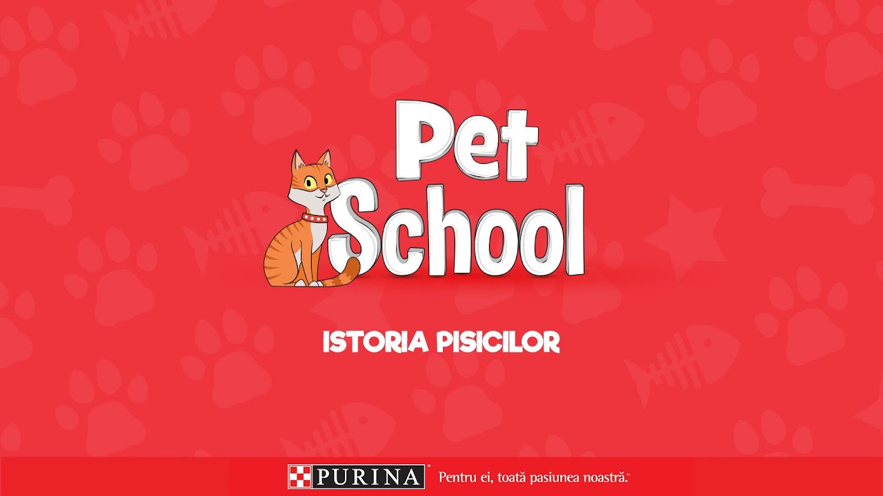 Istoria si originea pisicilor | PURINA PetSchool