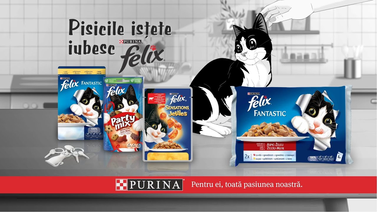 5 semne ale gustului irezistibil al hranei pentru pisică | Purina Felix