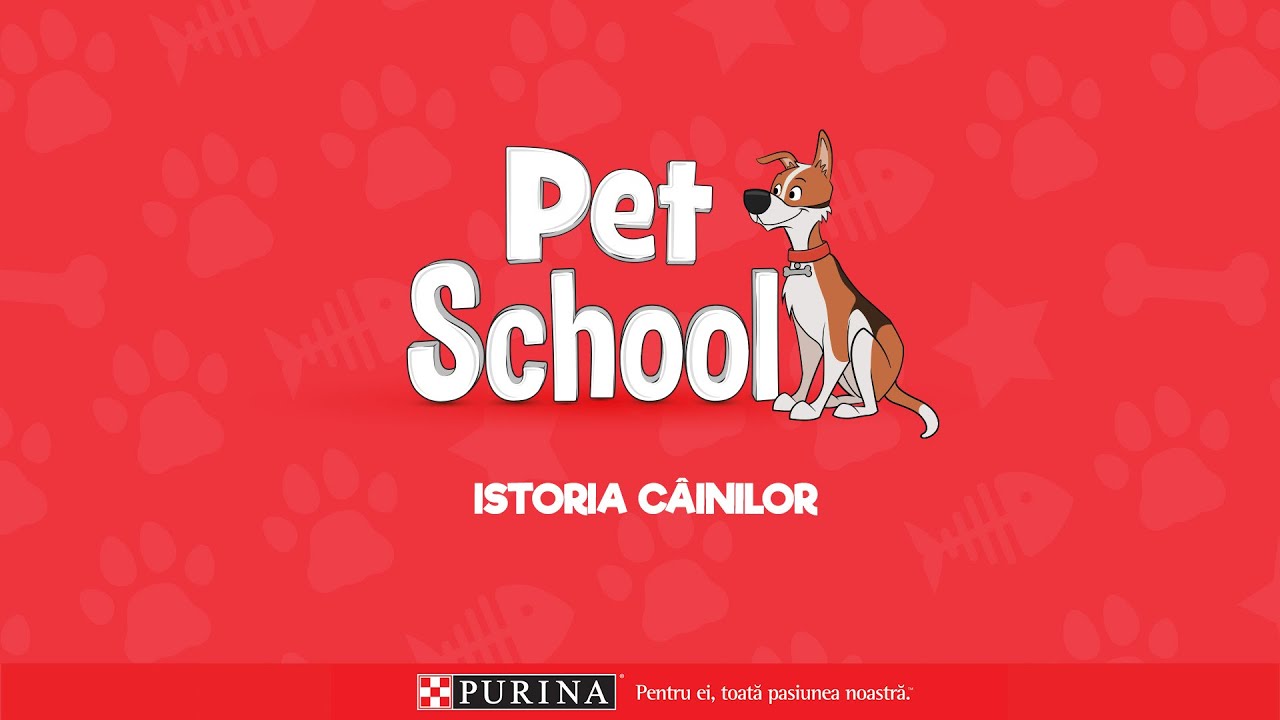 Istoria câinelui: De la animal feroce, la cel mai bun prieten al omului