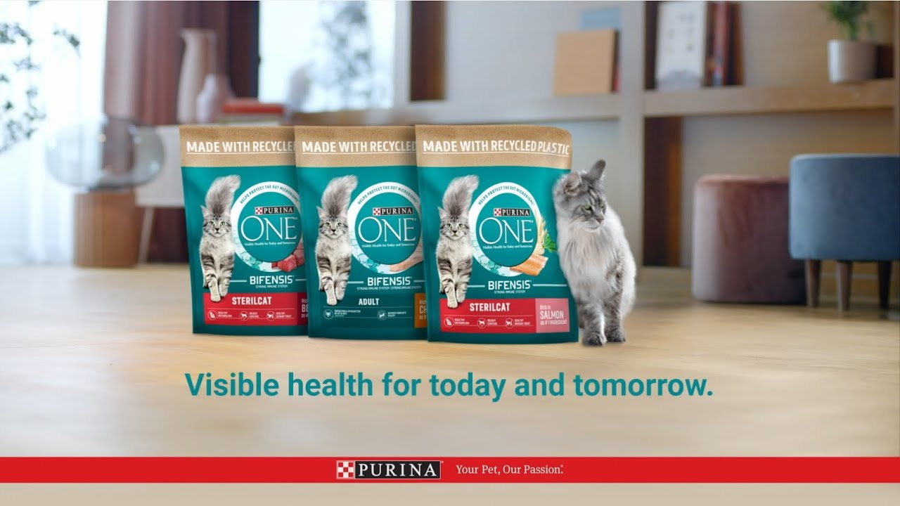 Încearcă Purina ONE Hrana pisici | Purina