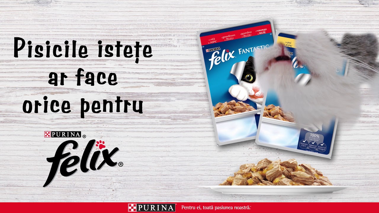 Felix Licking | Purina Felix